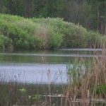 Vand teren 70000 mp Snagov Ghermanesti Ilfov cu Lac si Padure