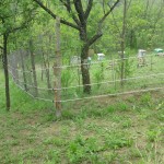 Gard electric pentru URSI in protejarea stupinei