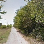 Teren vanzare 1225 mp Balotesti vedere Padure str Broscari