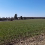 Teren la Lac si Padure Saftica intravilan cu acces 72m