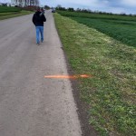 Teren Moara Vlasiei 26000 mp la sosea acces  Autostrada A3