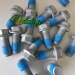 Surub disc agricol Horsch Joker