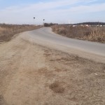 Teren latura  Padure Corbeanca  2 Ha str Sportului intravilan