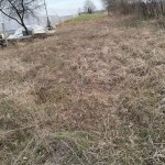 Teren lipia ilfov langa padure 4400mp